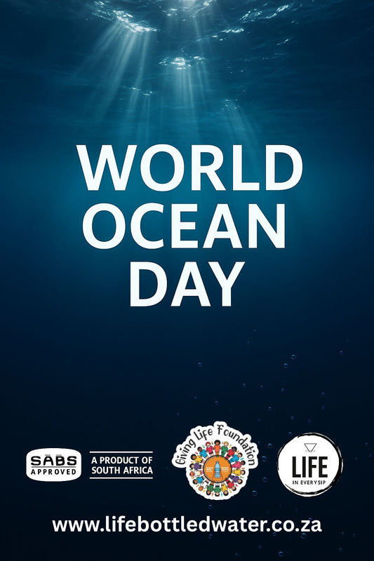 🌊 World Ocean Day: Honoring the Water That Sustains Us All